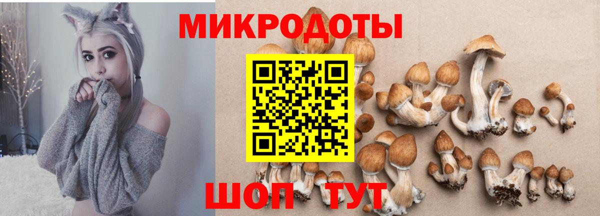 Псилоцибиновые грибы GOLDEN TEACHER Кулебаки