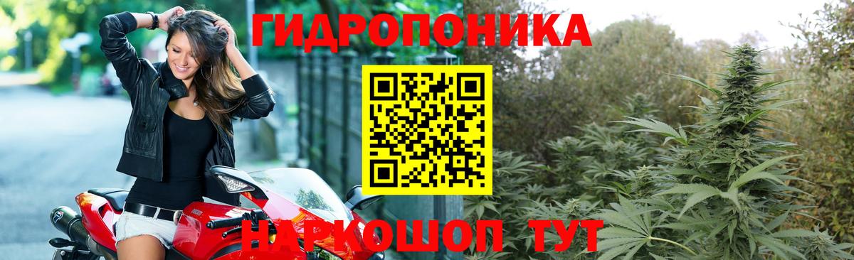 Марихуана ГИДРОПОН Кулебаки